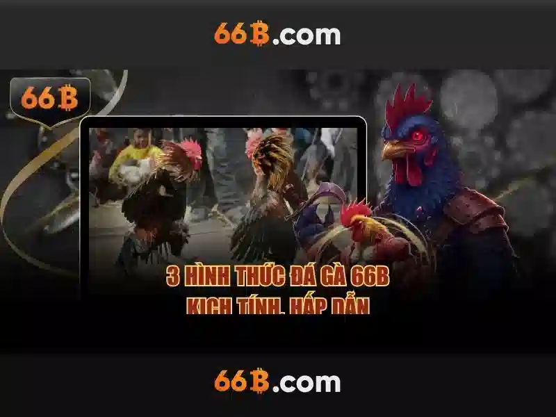 gioi-thieu-khuyenmai-66b