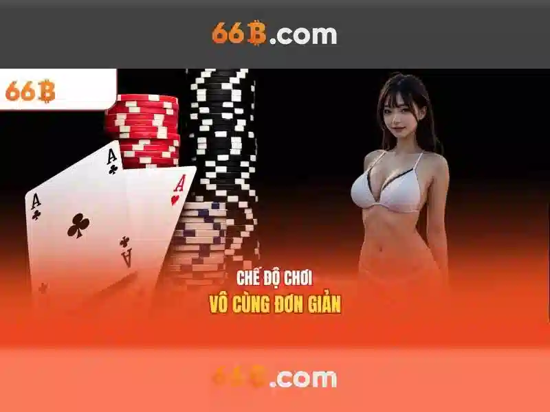 66B là gì?