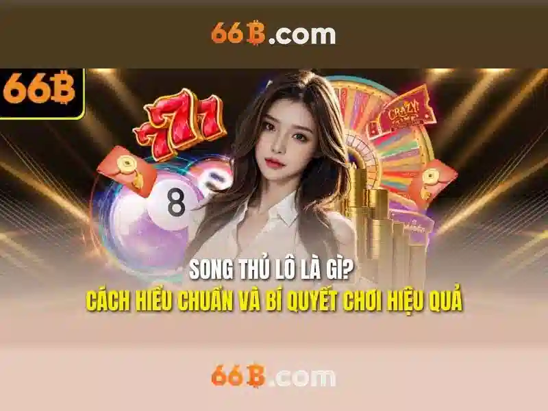 Kiến trúc của 66b và các lớp