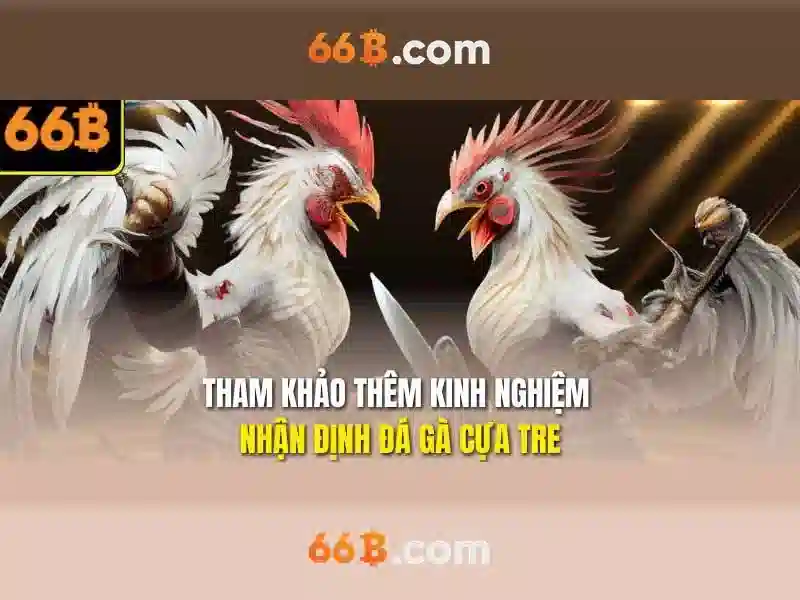66b nguyễn sỹ sách p15 quận tân bình là gì - Nguồn gốc và sứ mệnh