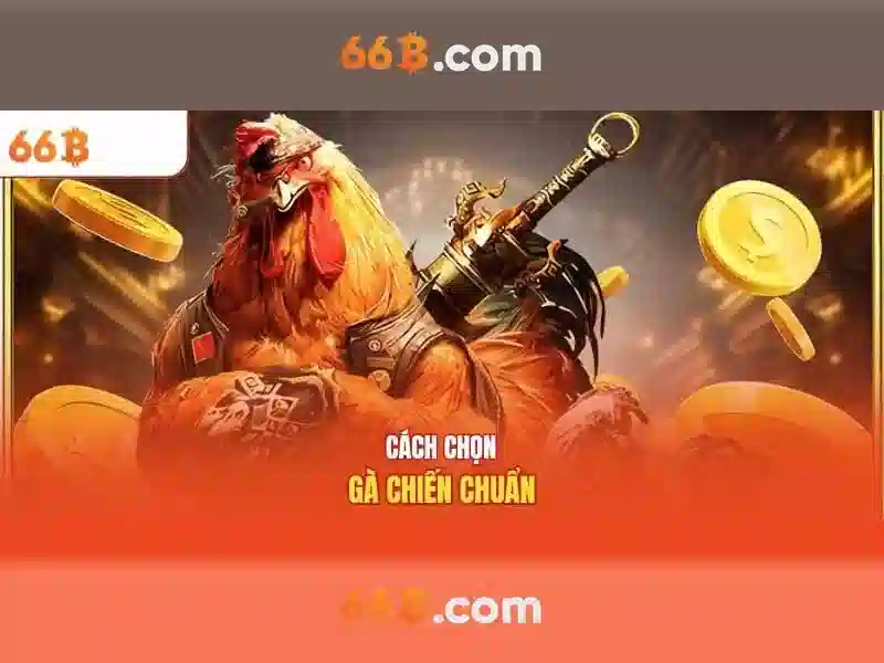 66b là gì