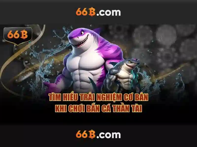 66b nguyen sy sach - Hành trình thương hiệu và trải nghiệm