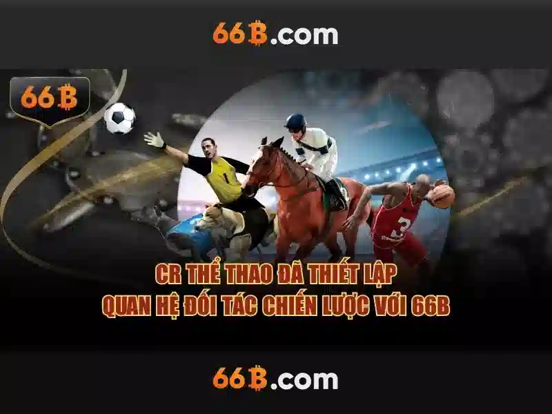 66b nguyễn sỹ sách phường 15 quận tân bình – thương hiệu và trải nghiệm