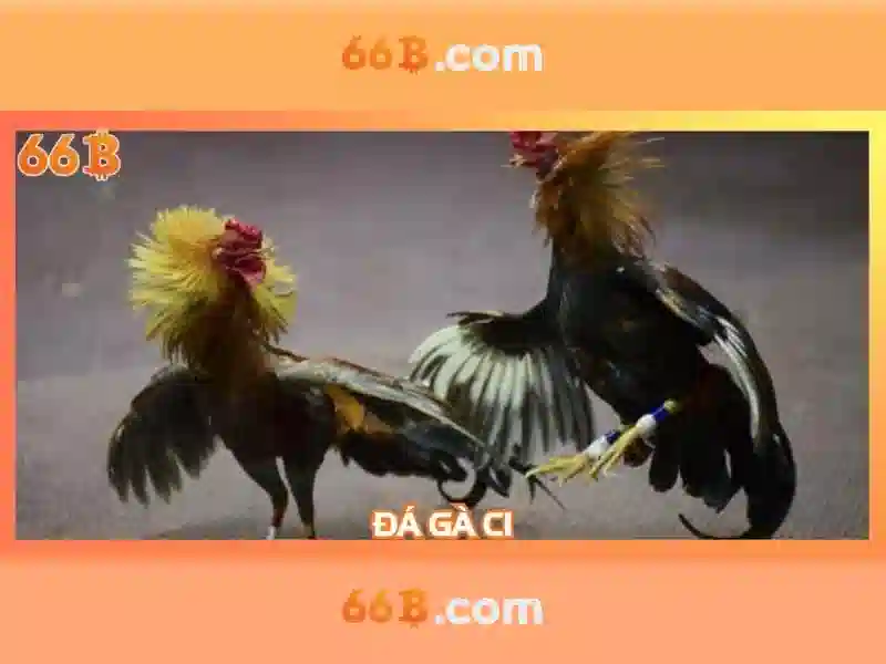 66B: Khai thac va ung dung cua mo hinh ngon ngu 66B