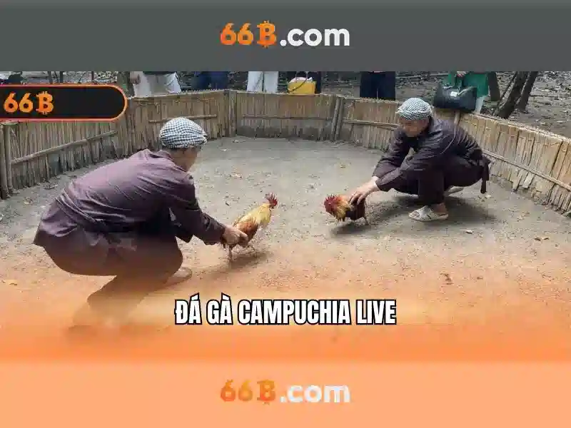 66B: Khai phóng công nghệ mô hình ngôn ngữ quy mô lớn
