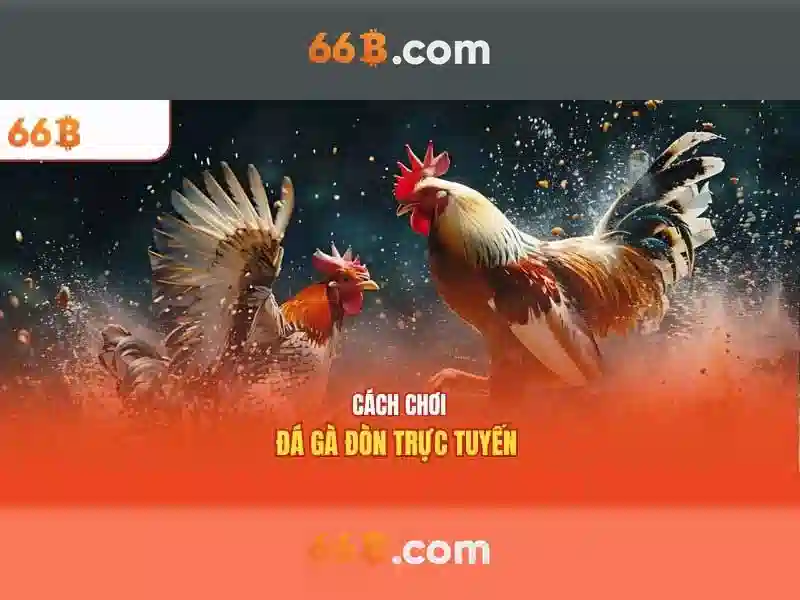 66b cách mạng tháng 8 quận 3 tp hcm – Tổng quan và giá trị đổi mới