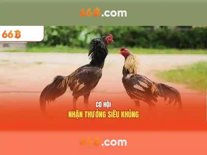 Kiến trúc và cách hoạt động