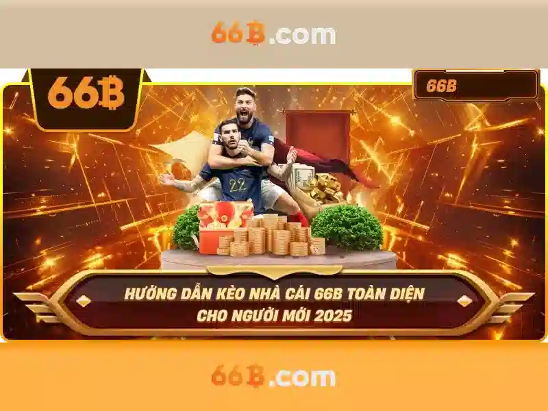 Kiến trúc và kích thước của 66B