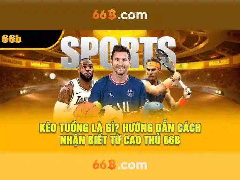 66B: Khái niệm, kích thước và ứng dụng