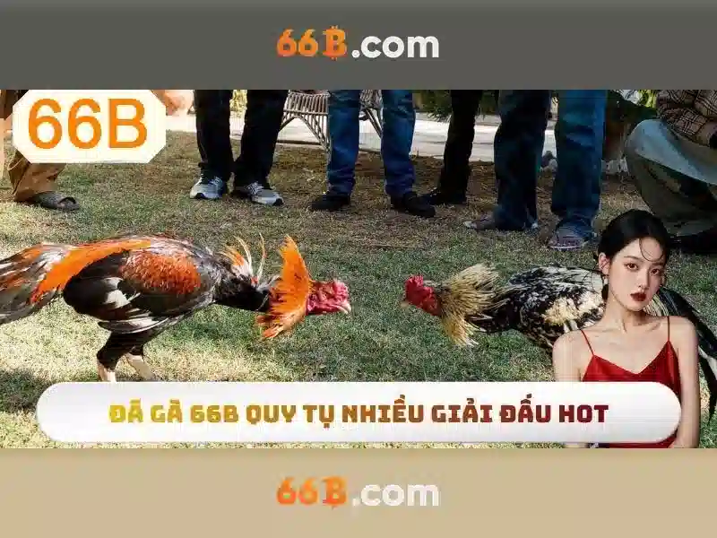 Khái niệm về mô hình 66B
