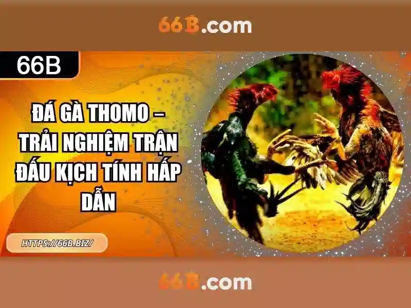 Kiến trúc và kích thước