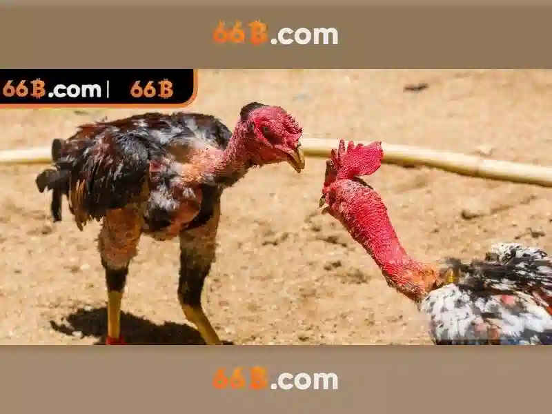 Nguồn gốc và sứ mệnh