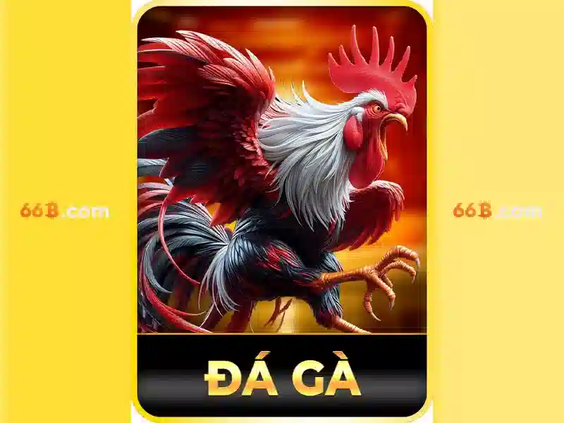 Giới thiệu về 66b