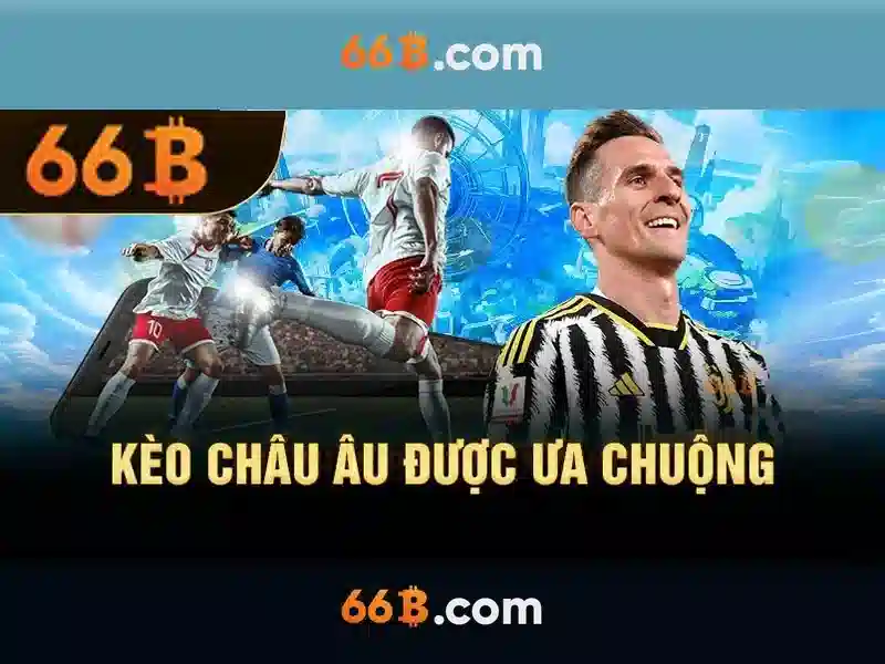 Cấu trúc và quy mô của 66B