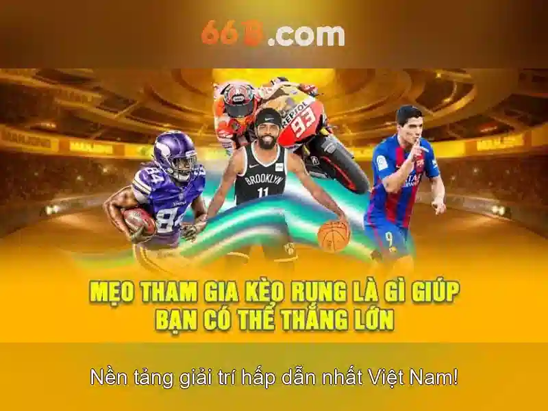 66b: một cái nhìn tổng quan và ứng dụng