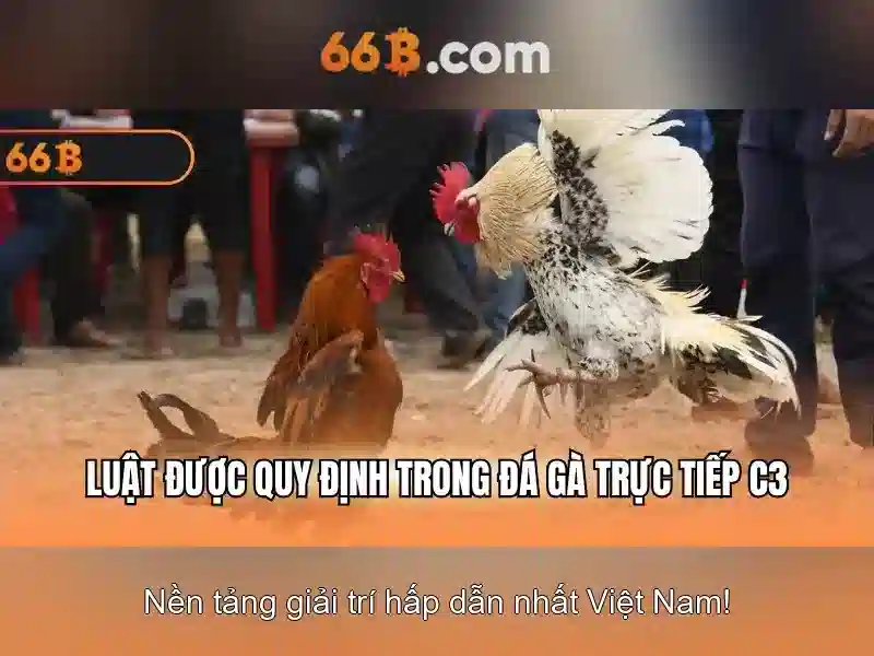 Nguồn gốc và sứ mệnh của 66b it act