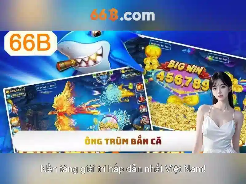 66B là gì?