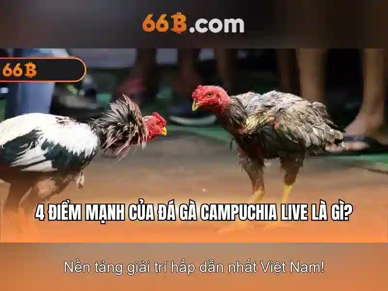 66b it act – Tổng quan chủ đề và giá trị cốt lõi