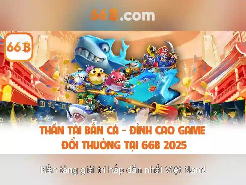 66b là gì?