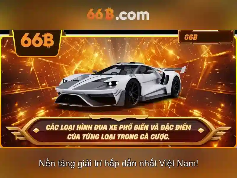 Ứng dụng của 66B trong đời sống và doanh nghiệp