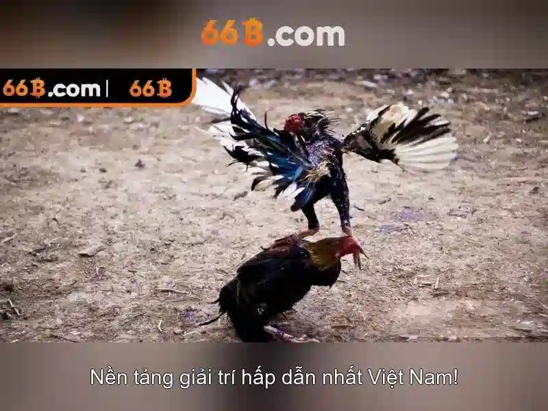 66B: Mô hình ngôn ngữ quy mô lớn và sự đổi mới