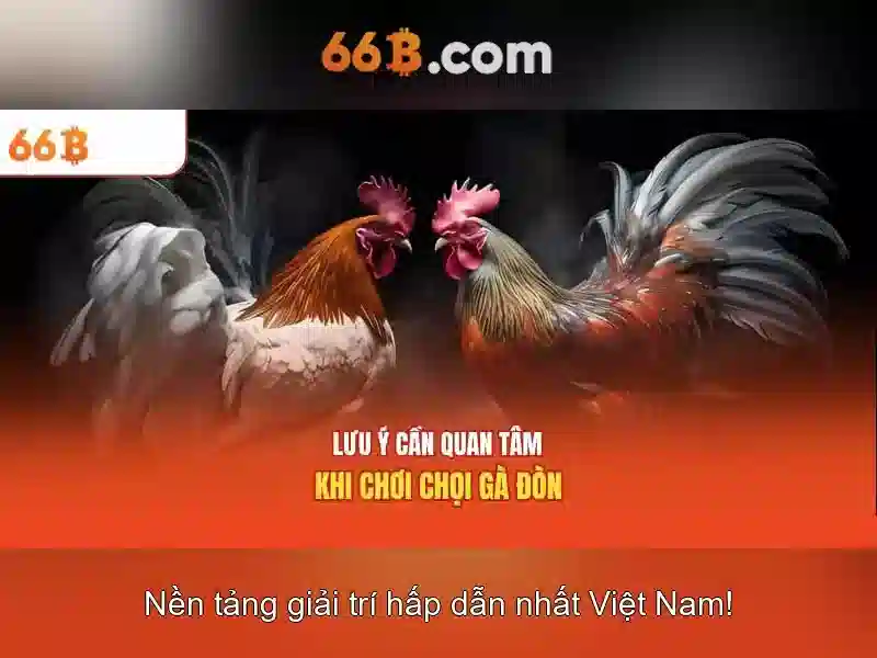 Cấu trúc và tính năng