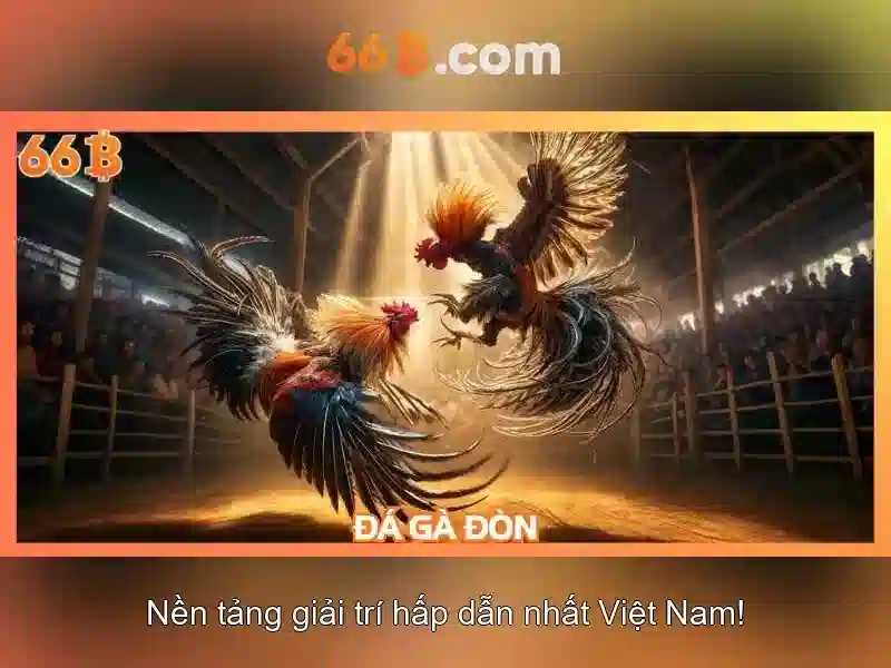 Ứng dụng 66b trong cuộc sống