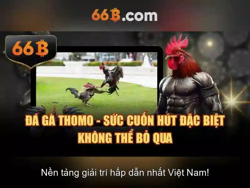 Trải nghiệm thực tiễn và đánh giá sản phẩm 66b com
