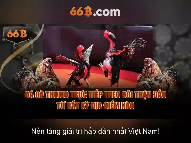 66b nguyễn sỹ sách phường 15 quận tân bình – thương hiệu và trải nghiệm