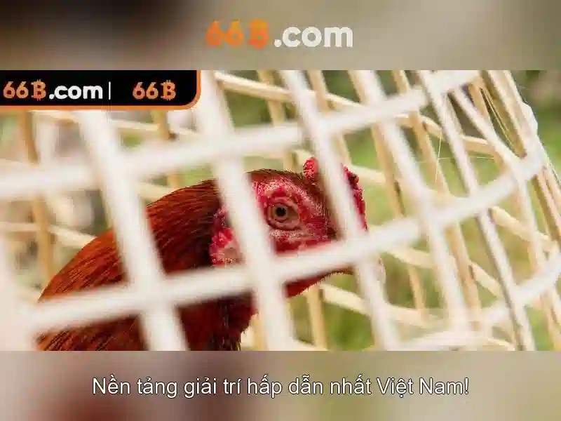 66b: Khám phá một mô hình ngôn ngữ lượng lớn