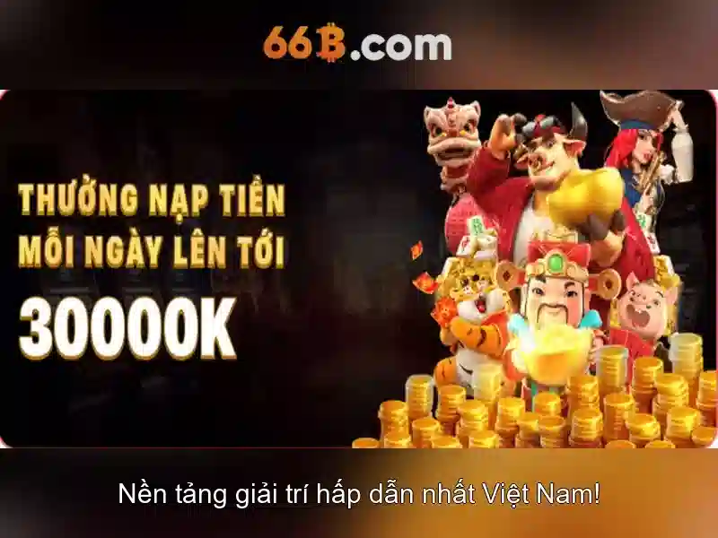 66B là gì?