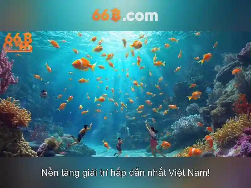 Trải nghiệm người dùng và phản hồi cộng đồng