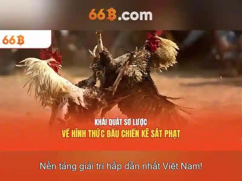Kiến trúc của 66B