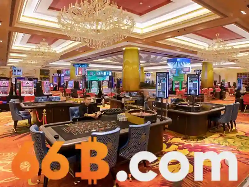 66b com – Định vị thương hiệu và trải nghiệm số