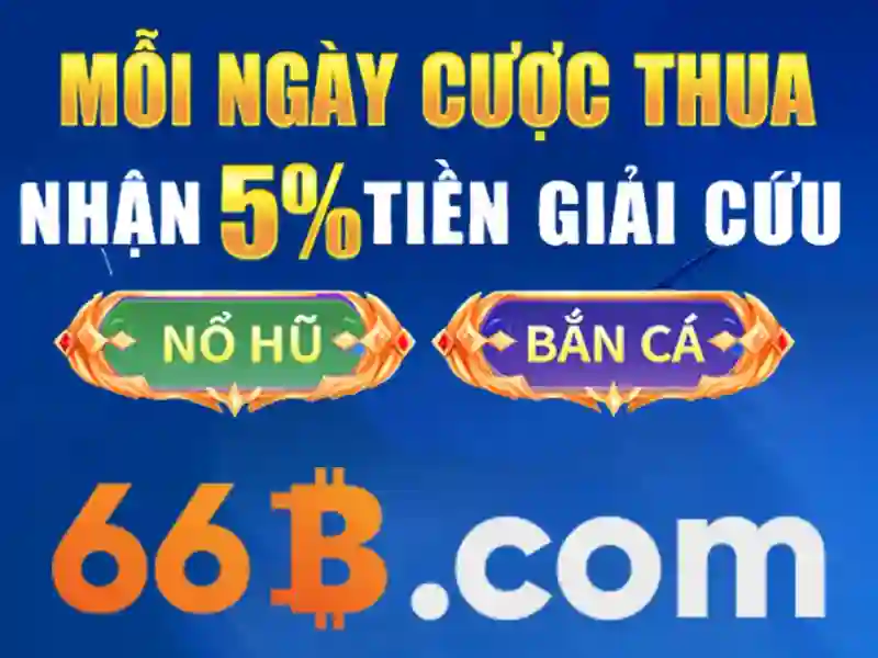 66b: một khái niệm và ý nghĩa