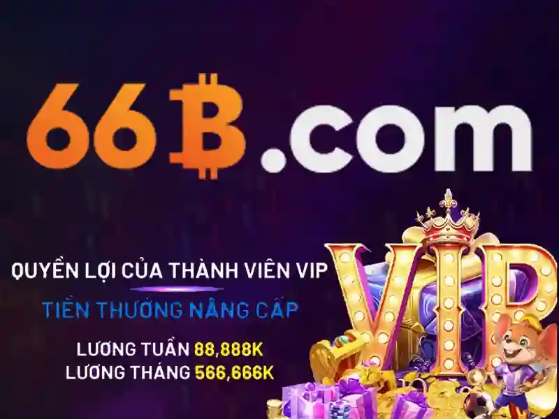66b: Khái niệm và triển vọng