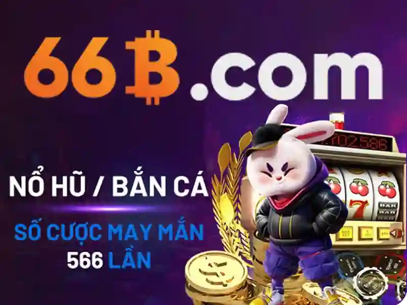 66B la gi va tai sao no quan trong